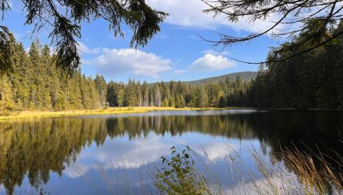 Traum FeWo mit Stil - Photo 3