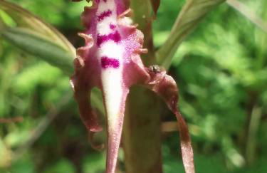 La Casa di Franco - Photo 33