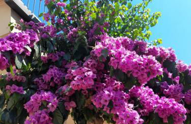 BOUGANVILLE casa vacanza ambiente climatizzato con wi fi - Foto 62