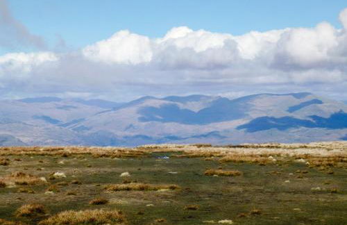 Cockleshell Cottage - Foto 17