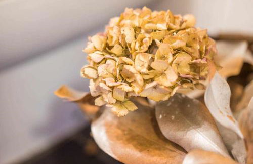 Casa de al Lado en Barcenaciones - Foto 47