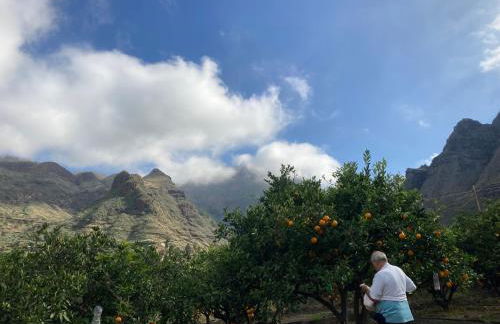 Casa Camino Tamadaba II (bottom home) - Foto 46