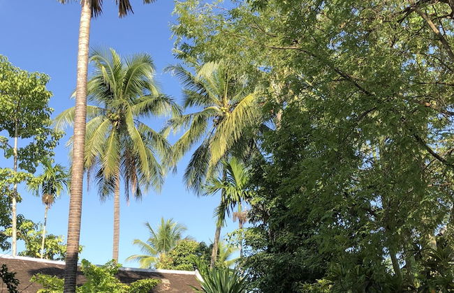 Maison Houng Chanh - Luang prabang - Foto 17