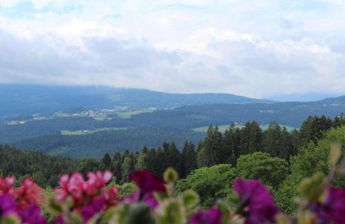 Ferienhof Kagerbauer - Foto 8