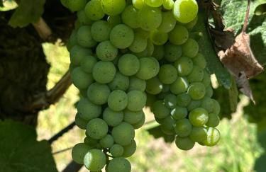 Ferienhaus Fridolin - Foto 18