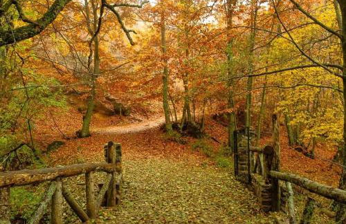 GREDOS RURALRUT cerca del CASTAÑAR de El Tiemblo, Reserva Natural VALLE DE IRUELAS, alojamiento acogedor con cabina hidromasaje, chimenea eléctrica, calefacción, wifi, cocina - Photo 15