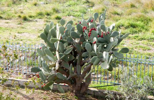 The Villa of the Winds - Foto 61