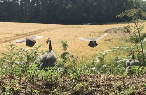 The Old Stables by inspirestays-com - Foto 43