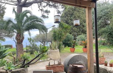 Bouganville in Villa Greco - Foto 26