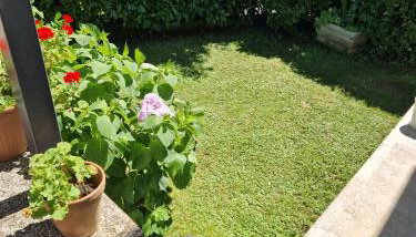 Palme Apartments - Foto 5, Garden