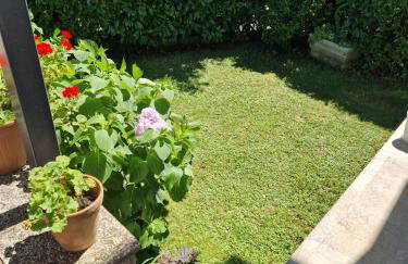 Palme Apartments - Photo 5