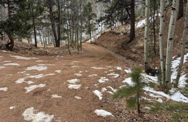 The Enchanted Summit - Foto 78