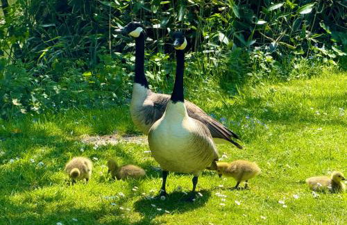 Sunridge Fishing Lodge with Hot Tub & Giant Cinema - Foto 65