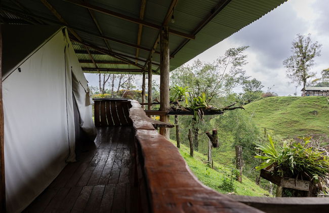 La Finca Azul - Foto 35