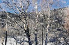 Gîte Le Clos des Vosges - Foto 25