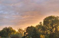 Ferienhaus an der Allee - Foto 36