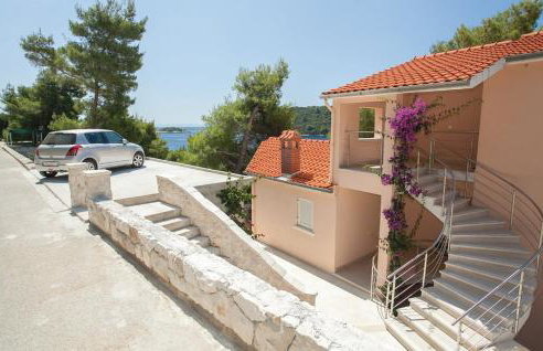 Pine Tree Apartment Zanetic - Photo 45