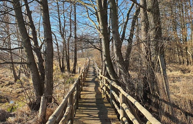 Kugelhaus Phoebe - Foto 18