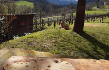 Agriturismo PEDROSOLA - Photo 56