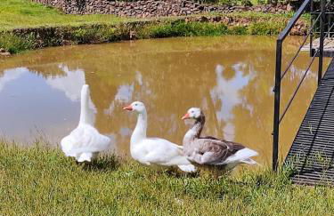 Cabin near Gramado with hydro and fireplace - Foto 24