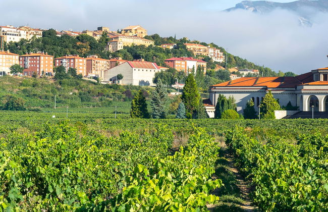 Excursión a Laguardia y Haro con visita a dos bodegas - Foto 10