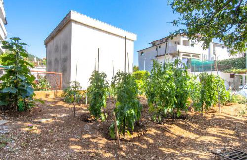 Apartments Latkovic - Photo 73