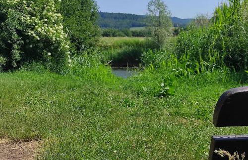 cosyTinyhouse Großburschla - Foto 23