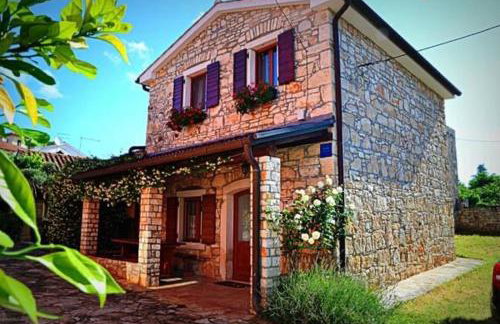 Apartmani Petar Stojnić - Foto 2