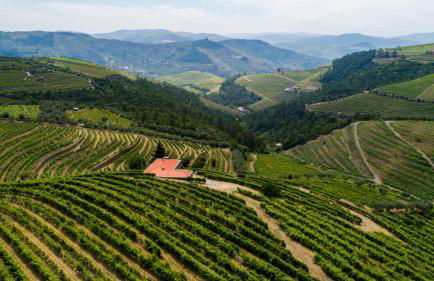 Quinta Teoria - Teoria Guest House - Photo 35