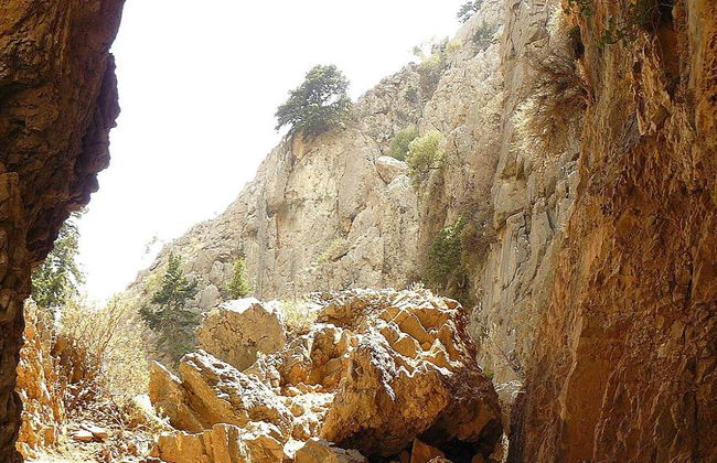 Garganta de Imbros - Tour de Dia Inteiro - Foto 10