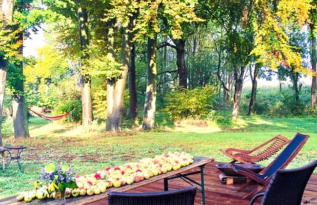 Gorgeous Apartment in Neuburg With Terrace - Foto 26