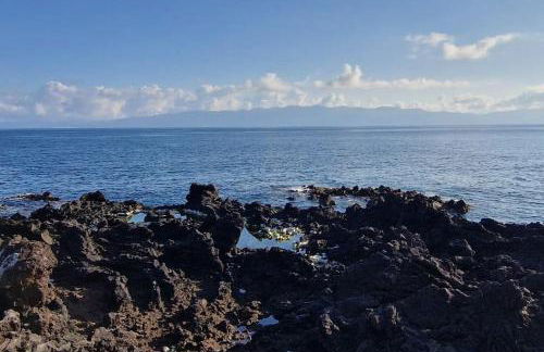 Terra`s Place - Photo 12