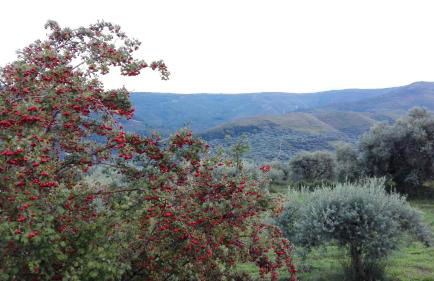 Le Case Di S. Andrea - Foto 73