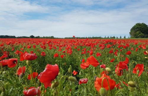 Haus Bernsteinchen - Foto 13