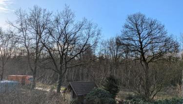 Ferienwohnung Bohnenberg - Foto 5