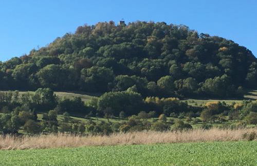 Gäste-Appartement-Kirsammer - Foto 25