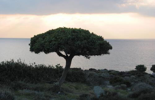 Level Houses - Foto 53