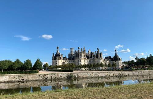 Au Coeur des Châteaux - Foto 30