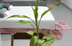 Suíte Nami sem garagem - Foto 10