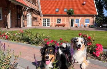 Fewo Tenne - Foto 30