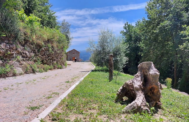 Quinta da Roda - Nature and Wellness - Foto 40