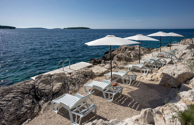 Golden Ray - Foto 13