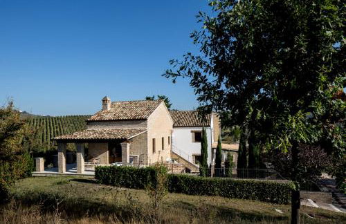 Casali Costadoro - Foto 31