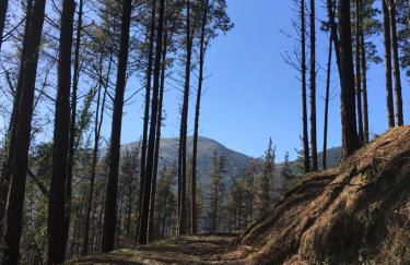 Agroturismo Erlete Goikoa -ESTAMOS EN EL CAMINO DE SANTIAGO -WE ARE ON THE CAMINO DE SANTIAGO- SENDERISMO-RUTAS Y BICICLETA - Photo 49