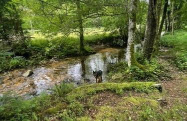 GreenHolidays - Foto 35