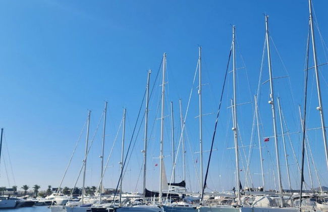 Yalikavak Natural Garden Tiny House - Foto 11