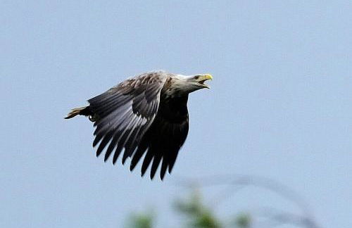 Rest At Last - Highland Apartment with Private hot tub - Photo 43