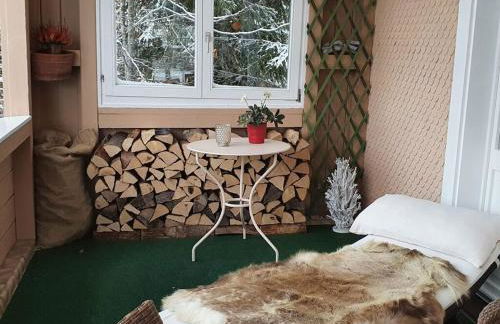 Landhuis Appartement Feldberg Uitzicht - Foto 37