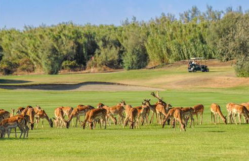 3 Bedroom Nice Home In Albarella Ro - Foto 48