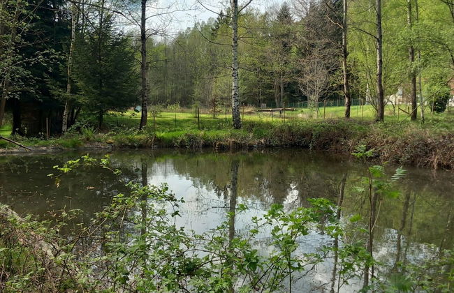 Nature Retreat in Lorraine - Foto 38